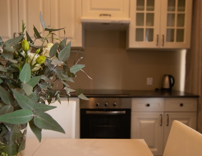 2-местное 2-комн. апартаменты - Отель «Абаата» Гагра